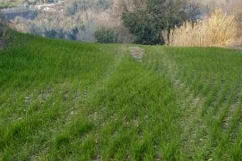 Villa a Mondavio, Pesaro and Urbino, Mondavio - € 450.000 | Ref: 6365 - foto 26