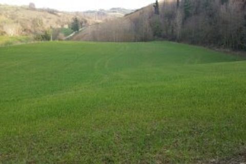 Villa a Mondavio, Pesaro and Urbino, Mondavio - € 450.000 | Ref: 6365 - foto 27