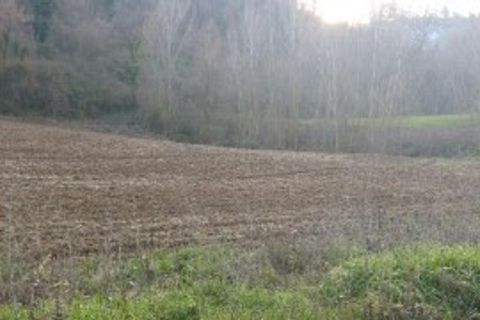 Villa a Mondavio, Pesaro and Urbino, Mondavio - € 450.000 | Ref: 6365 - foto 30