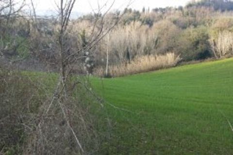 Villa a Mondavio, Pesaro and Urbino, Mondavio - € 450.000 | Ref: 6365 - foto 31
