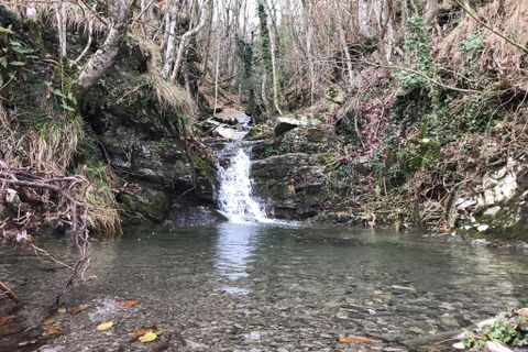 Villa i Albareto, Parma, Albareto - € 70.000 | Ref: 2829 - foto 2