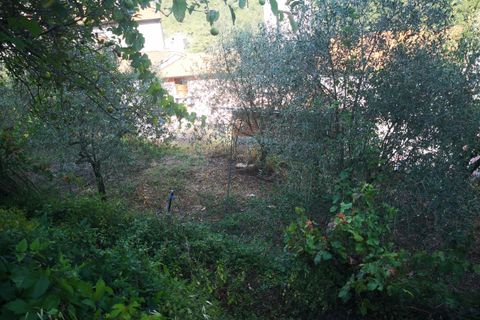 Villa i Luni, La Spezia, Luni - € 100.000 | Ref: 2906 - foto 2