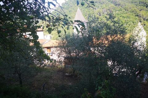 Villa i Luni, La Spezia, Luni - € 100.000 | Ref: 2906 - foto 6