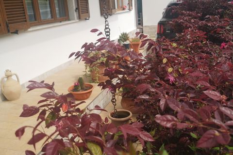 Villa i Massa, Massa and Carrara, Massa - € 480.000 | Ref: 2979 - foto 30