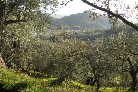 Erhvervsejendom i Luni, La Spezia, Luni - € 30.000 | Ref: 3046 - foto 2