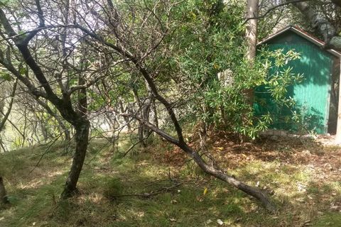 Erhvervsejendom i Luni, La Spezia, Luni - € 30.000 | Ref: 3046 - foto 5