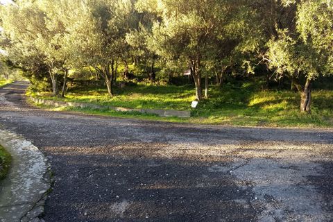Erhvervsejendom i Luni, La Spezia, Luni - € 30.000 | Ref: 3046 - foto 7
