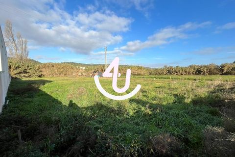 Helårsgrund i Nazare, Leiria, Nazare - € 19.900 | Ref: S4U133-V3 - foto 6