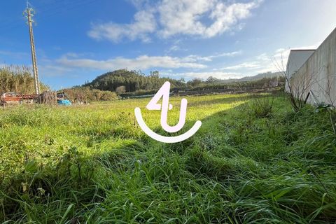 Helårsgrund i Nazare, Leiria, Nazare - € 19.900 | Ref: S4U133-V3 - foto 8