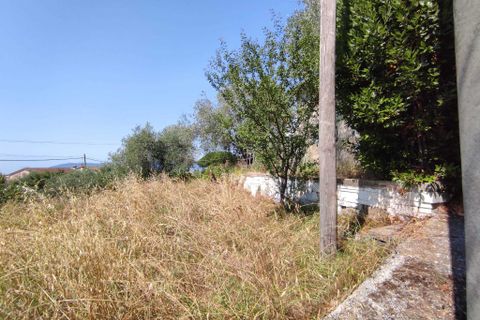 Villa a Luni, La Spezia, Luni - € 399.000 | Ref: 107123 - foto 15