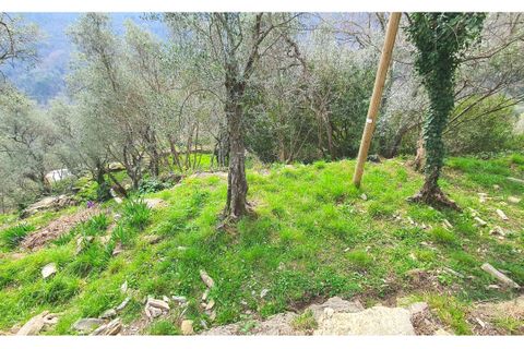 Byhus i Rapallo, Genoa, Rapallo - € 89.000 | Ref: V22 - foto 2