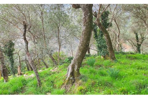 Byhus i Rapallo, Genoa, Rapallo - € 89.000 | Ref: V22 - foto 6