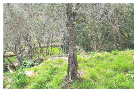 Byhus i Rapallo, Genoa, Rapallo - € 89.000 | Ref: V22 - foto 8