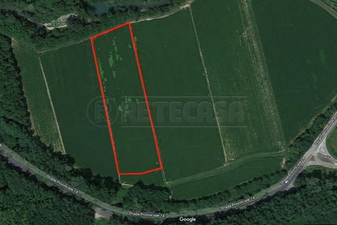 Erhvervsejendom i Cormons, Gorizia, Cormons - € 31.000 | Ref: D-279-2 - foto 1