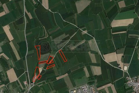 Erhvervsejendom i Visco, Udine, Visco - € 378.000 | Ref: D-329 - foto 2