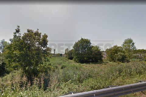 Terra a Torviscosa, Udine, Torviscosa - € 109.000 | Ref: D-423 - foto 4
