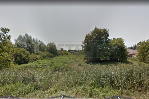 Terra a Torviscosa, Udine, Torviscosa - € 109.000 | Ref: D-423 - foto 5
