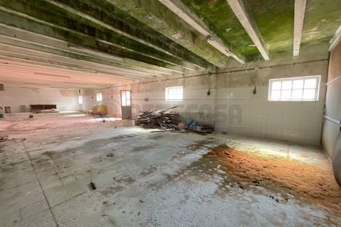 Villa a Palmanova, Udine, Palmanova - € 55.000 | Ref: D-910 - foto 7