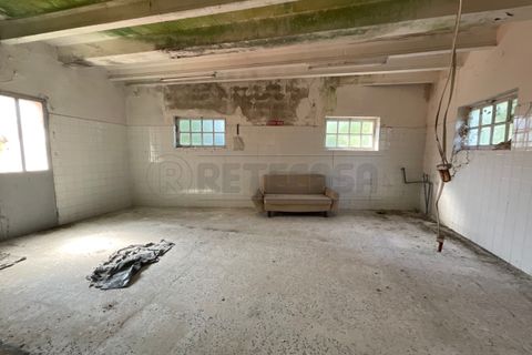 Villa a Palmanova, Udine, Palmanova - € 55.000 | Ref: D-910 - foto 8