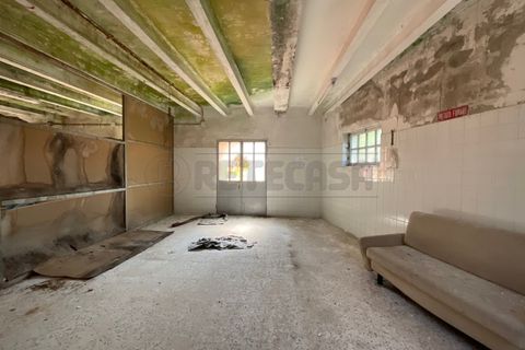 Villa a Palmanova, Udine, Palmanova - € 55.000 | Ref: D-910 - foto 9
