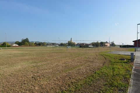 Tomt i Chiopris-Viscone, Udine, Chiopris-Viscone - € 40 000 | Ref: D-494 - foto 12