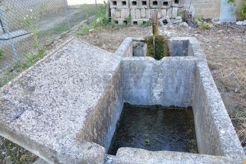 Villa i Rivignano, Udine, Rivignano - € 69.000 | Ref: C-003 - foto 9