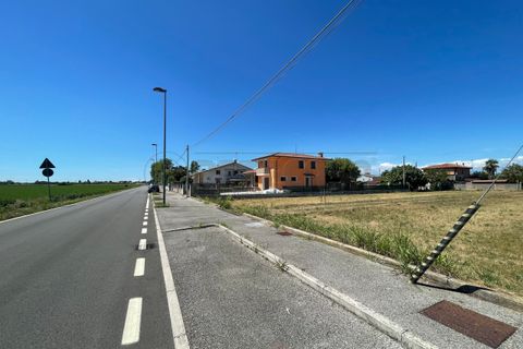Terra a Torviscosa, Udine, Torviscosa - € 45.000 | Ref: D-916-1 - foto 4