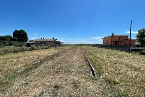 Terra a Torviscosa, Udine, Torviscosa - € 45.000 | Ref: D-916-1 - foto 5