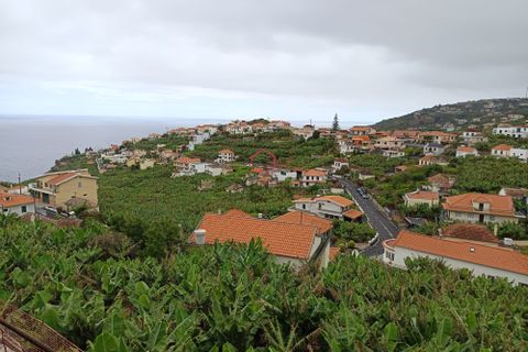 Villa i Ponta do Sol, Madeira, Ponta do Sol - € 1.450.000 | Ref: 8375 - foto 2