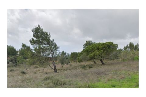 Helårsgrund i Alcabideche, Lisbon, Alcabideche - € 1.650.000 | Ref: 11418 - foto 3