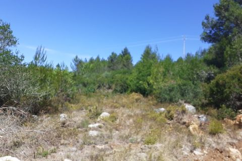 Helårsgrund i Alcabideche, Lisbon, Alcabideche - € 1.650.000 | Ref: 11418 - foto 4