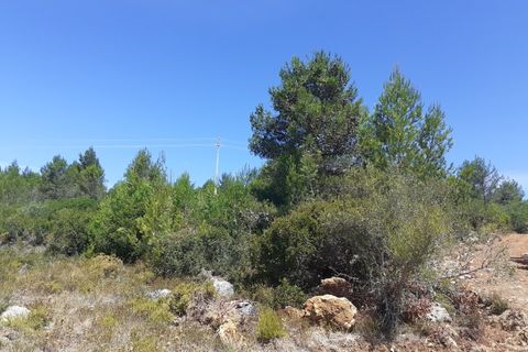 Helårsgrund i Alcabideche, Lisbon, Alcabideche - € 1.650.000 | Ref: 11418 - foto 5