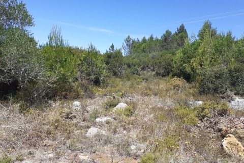 Helårsgrund i Alcabideche, Lisbon, Alcabideche - € 1.650.000 | Ref: 11418 - foto 6