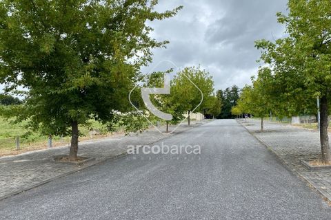 Helårsgrund i Arcos de Valdevez, Viana do Castelo, Arcos de Valdevez - € 42.500 | Ref: AV5598 - foto 9