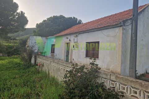 Farm i Monchique, Faro, Monchique - € 930.000 | Ref: QTA-5961 - foto 4