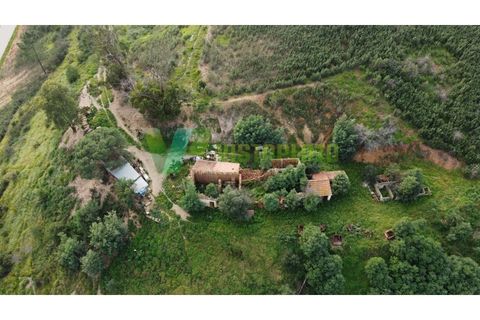 Farm i Monchique, Faro, Monchique - € 930.000 | Ref: QTA-5961 - foto 5