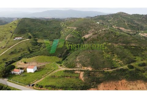 Farm i Monchique, Faro, Monchique - € 930.000 | Ref: QTA-5961 - foto 8