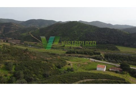 Farm i Monchique, Faro, Monchique - € 930.000 | Ref: QTA-5961 - foto 9