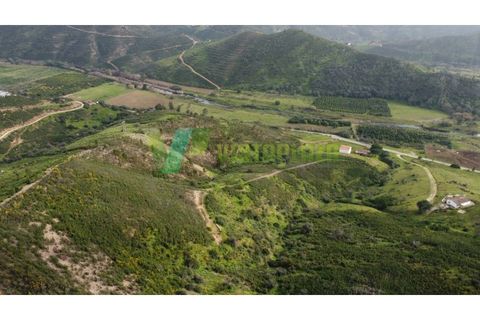 Farm i Monchique, Faro, Monchique - € 930.000 | Ref: QTA-5961 - foto 10