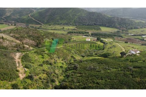 Farm i Monchique, Faro, Monchique - € 930.000 | Ref: QTA-5961 - foto 11