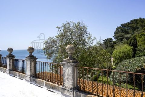 Villa i Oeiras, Lisbon, Oeiras - € 12.500.000 | Ref: PAL_52 - foto 7