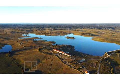 Landejendom i Alter do Chao, Portalegre, Alter do Chao - € 3.500.000 | Ref: EXP_60 - foto 3