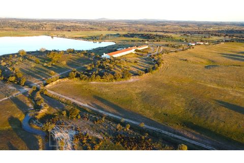 Landejendom i Alter do Chao, Portalegre, Alter do Chao - € 3.500.000 | Ref: EXP_60 - foto 9