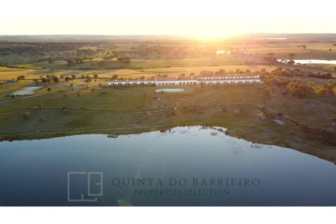 Landejendom i Alter do Chao, Portalegre, Alter do Chao - € 3.500.000 | Ref: EXP_60 - foto 10