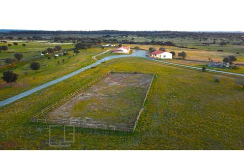 Landejendom i Alter do Chao, Portalegre, Alter do Chao - € 3.500.000 | Ref: EXP_60 - foto 13