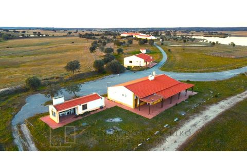 Landejendom i Alter do Chao, Portalegre, Alter do Chao - € 3.500.000 | Ref: EXP_60 - foto 14