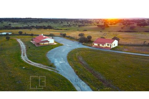 Landejendom i Alter do Chao, Portalegre, Alter do Chao - € 3.500.000 | Ref: EXP_60 - foto 15