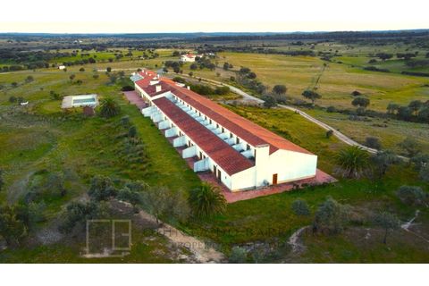 Landejendom i Alter do Chao, Portalegre, Alter do Chao - € 3.500.000 | Ref: EXP_60 - foto 16