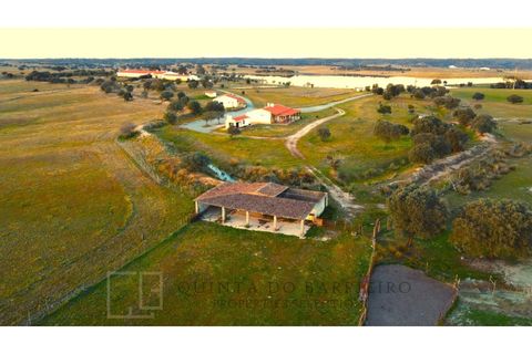 Landejendom i Alter do Chao, Portalegre, Alter do Chao - € 3.500.000 | Ref: EXP_60 - foto 17