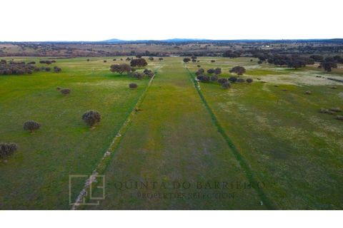 Landejendom i Alter do Chao, Portalegre, Alter do Chao - € 3.500.000 | Ref: EXP_60 - foto 18